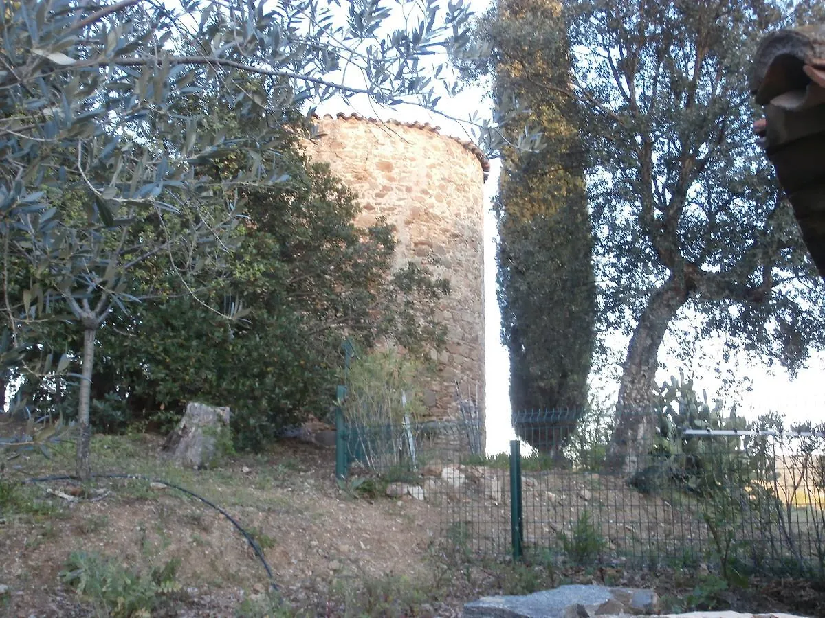 La Maison des Oliviers Cogolin Maison d'hôtes