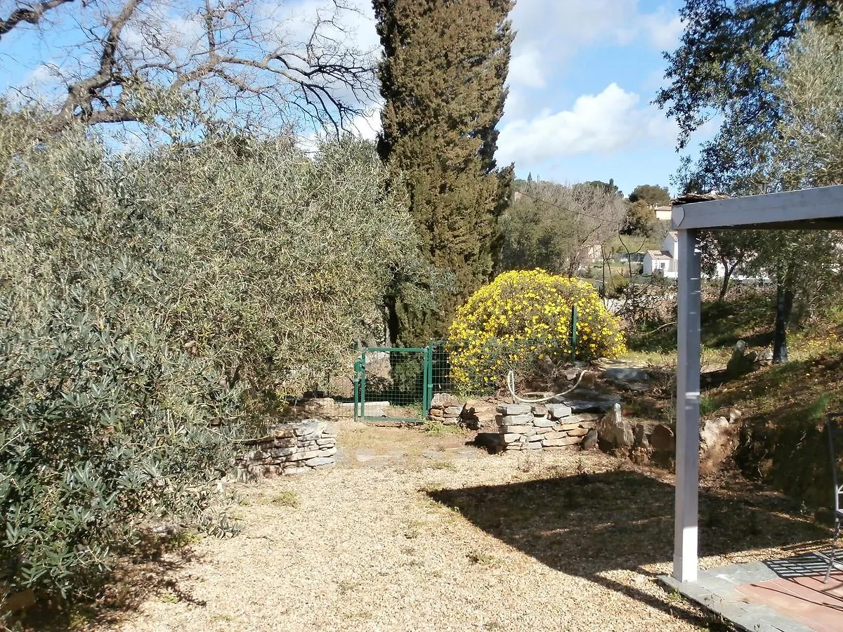 La Maison Des Oliviers Cogolin